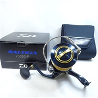 ２５ソルティガ２５０００Ｐ